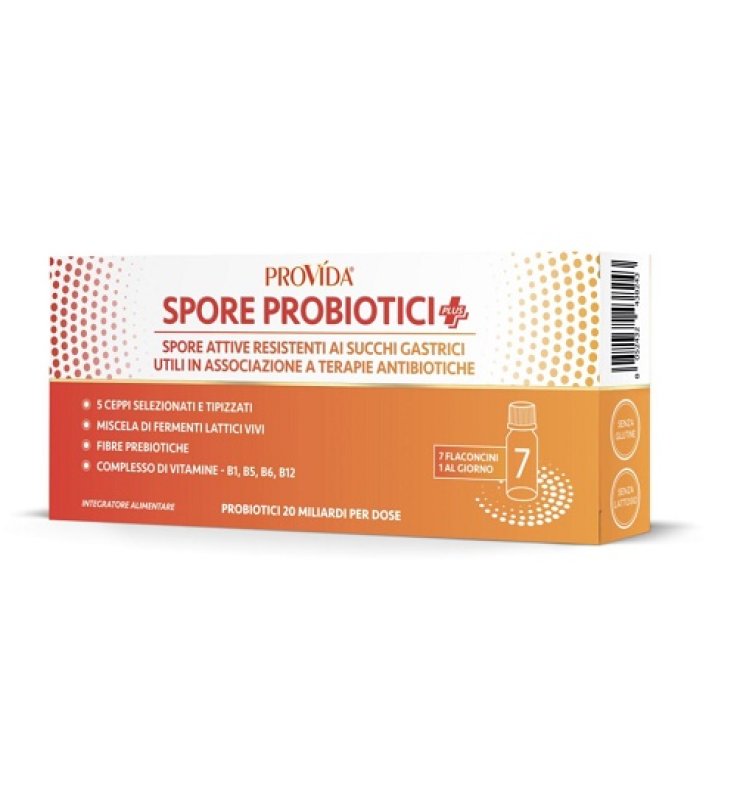 PROVIDA 7fl.Prob.Plus 20MLD PROVIDA 7fl.Prob.Plus 20MLD