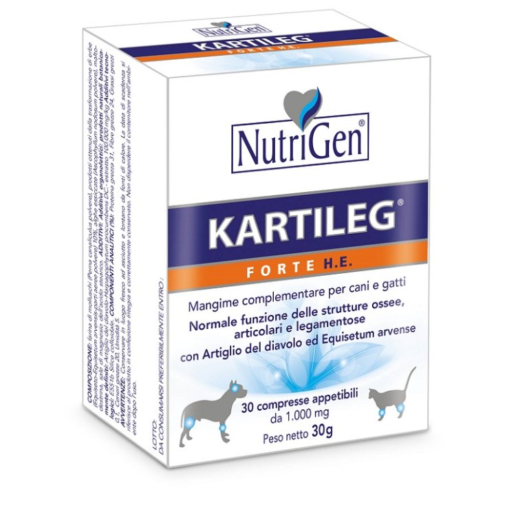 V KARTILEG FORTE HE 60CPR V KARTILEG FORTE HE 60CPR