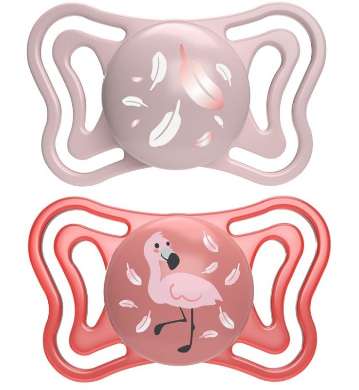 CH Succh.Light Rosa Sil6-16m2p CH Succh.Light Rosa Sil6-16m2p