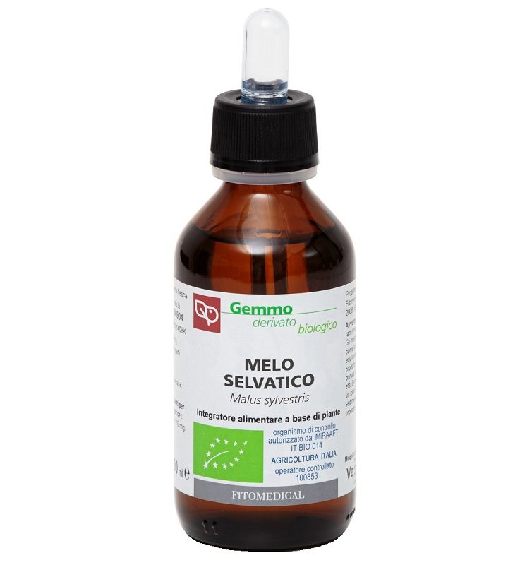 MELO SELVATICO MG 100ML BIO