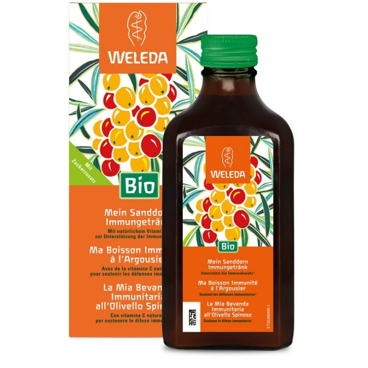 OLIVELLO SPINOSO VITAL SCIROPPO OLIVELLO SPINOSO VITAL SCIROPPO