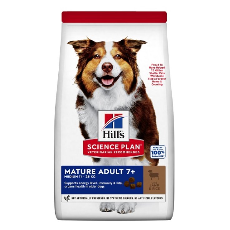 V SP CANINE MATURE AD M LAMB 12K V SP CANINE MATURE AD M LAMB 12K