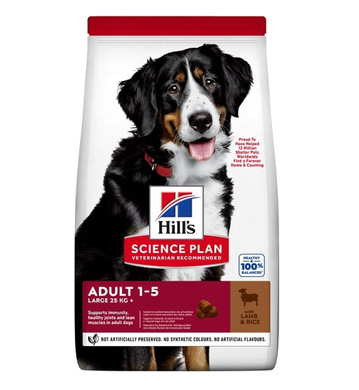 V SP CANINE AD L BREED LAMB 12KG
