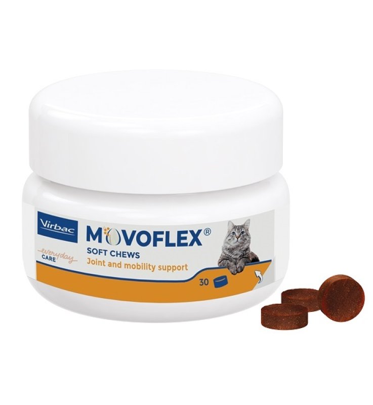 V MOVOFLEX GATTO 30CPR MASTIC. V MOVOFLEX GATTO 30CPR MASTIC.
