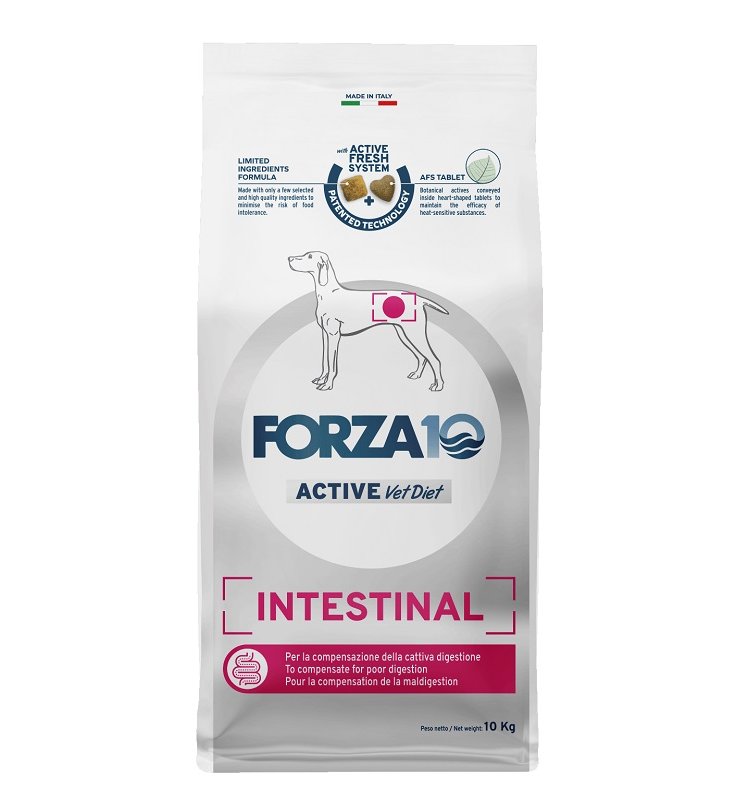 V FORZA10 DOG INTESTINAL 10KG
