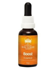 BOOST 30ml NATUR