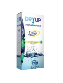 DRYUP Mirtillo 300ml