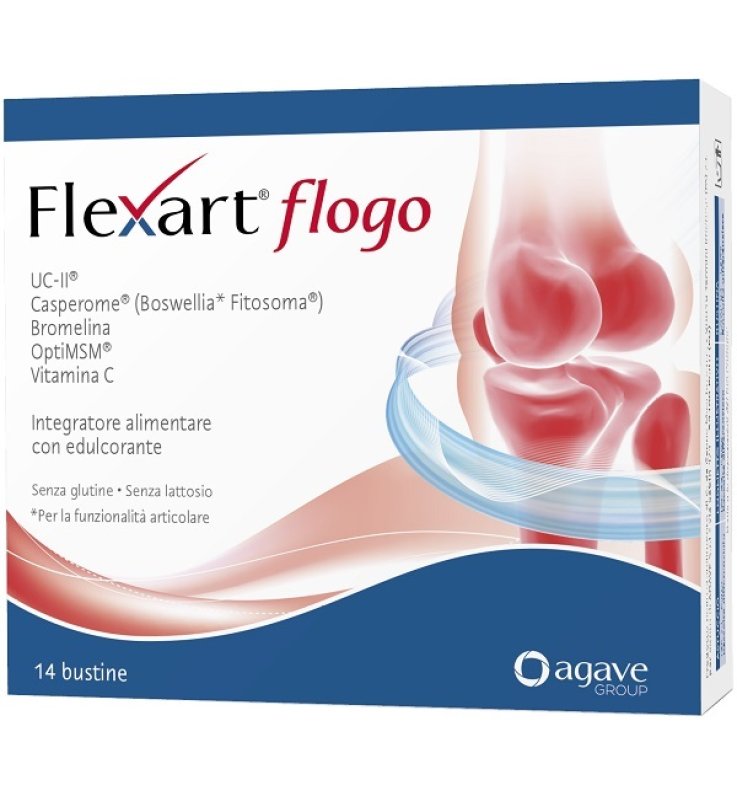 FLEXART FLOGO 14BUST