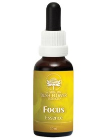 FOCUS 30ML