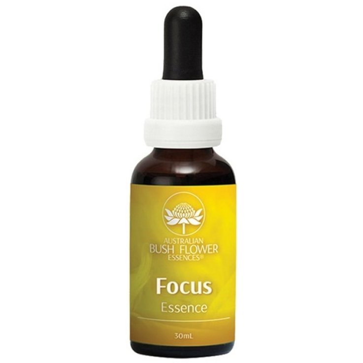 FOCUS 30ML FOCUS 30ML