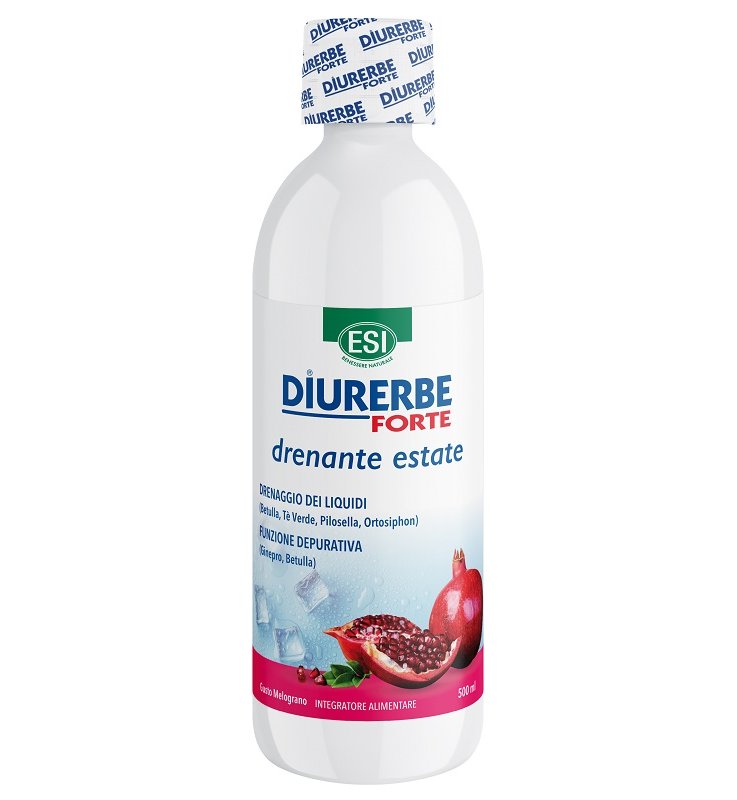 DIURERBE Fte Melogr.Bipacco