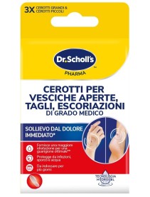 SCHOLL Cer.Vesc/Tagli/Escoriaz