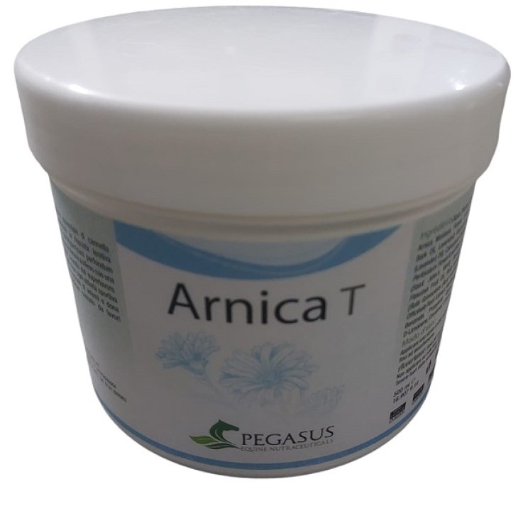 V PEGASUS EN ARNICA T 500GR V PEGASUS EN ARNICA T 500GR