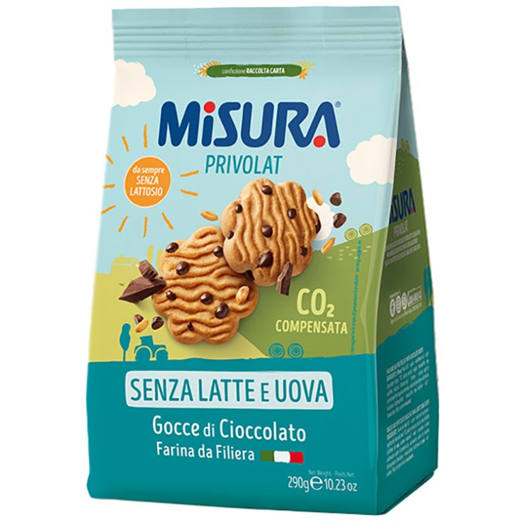PRIVOLAT Bisc.Gocce Ciocc.290g PRIVOLAT Bisc.Gocce Ciocc.290g