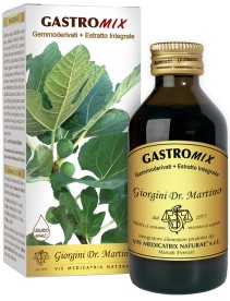 GASTROMIX Liq.Analc.100ml