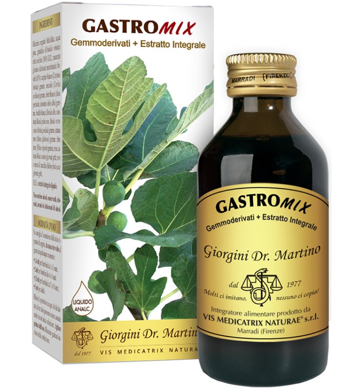 GASTROMIX Liq.Analc.200ml SVS GASTROMIX Liq.Analc.200ml SVS