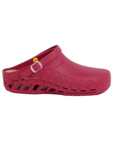 CLOG Evo Wine 42/43