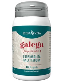 GALEGA 60 CAPSULE