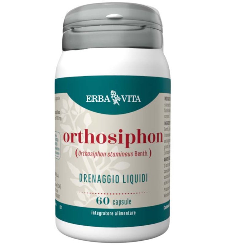 ORTHOSIPHON 60 Cps 450mg   EBV