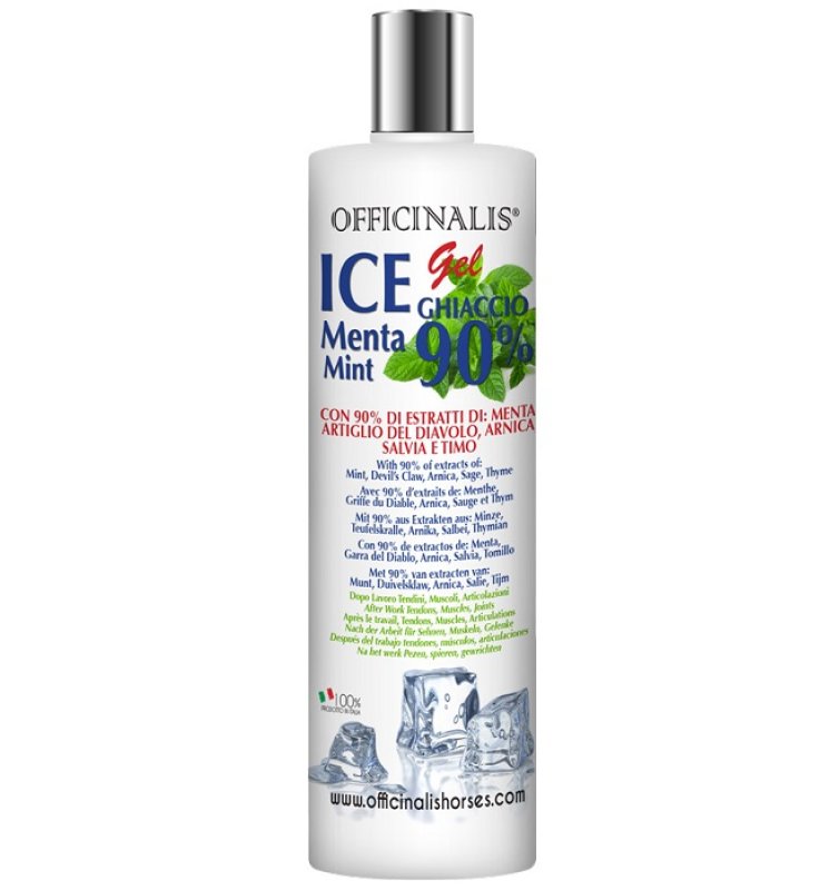 V OFFICINALIS ICE GEL 90% 250ML