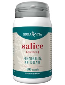 SALICE 60 Cps              EBV
