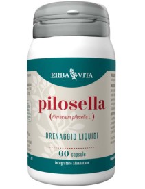 PILOSELLA 60CPS EBV