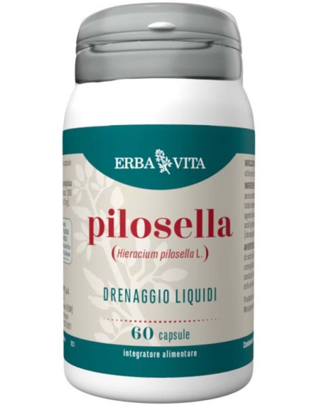 PILOSELLA 60CPS EBV PILOSELLA 60CPS EBV