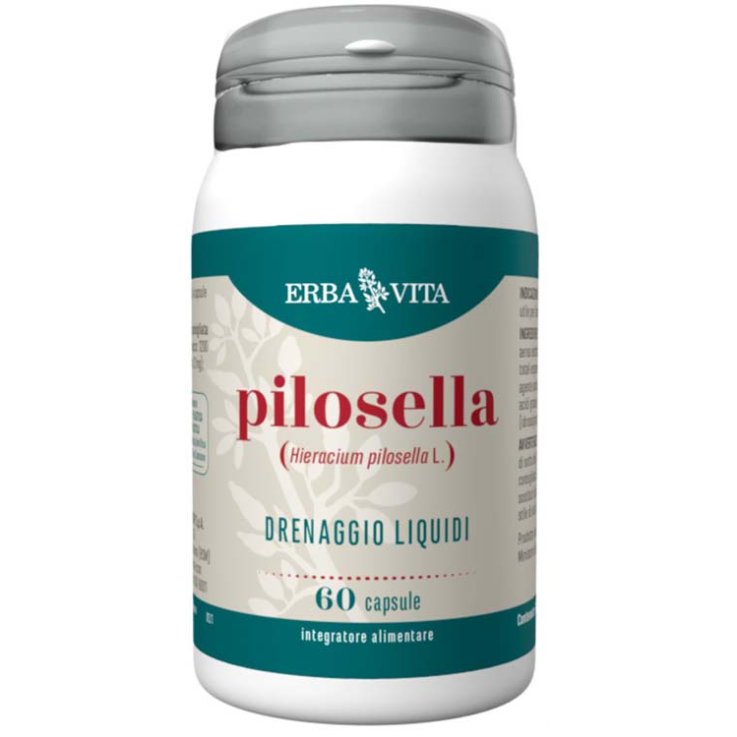 PILOSELLA 60CPS EBV PILOSELLA 60CPS EBV