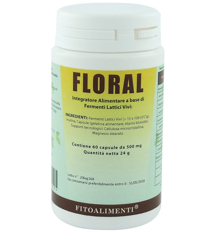 FLORAL 60CPS< FLORAL 60CPS<