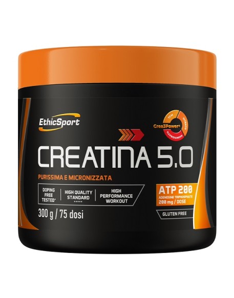 CREATINA 5,0 300G CREATINA 5,0 300G