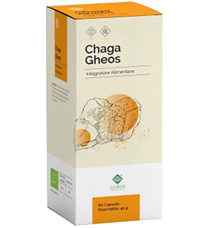CHAGA 60 Cps 750mg