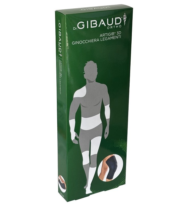 GIBAUD-ORT.Artigib3D*Ginocc.2