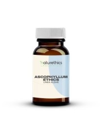 ASCOPHYLLUM ETHICS 60CPS