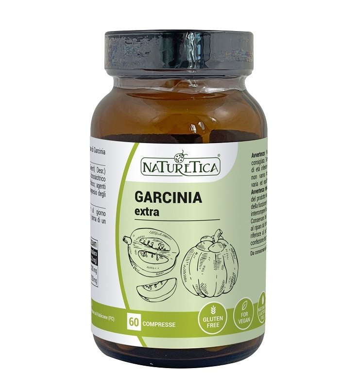 GARCINIA EXTRA S/GL 60CPR (NAGA)