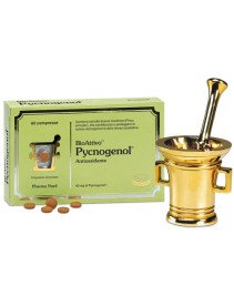 BIOATTIVO PYCNOGENOL 60CPR