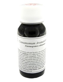 VILLA STODDARD 16S CINNAMOMUM AR