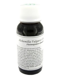 LVS 19N ALCHEMILLA VULGARIS COMPOSITUM