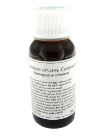 LVS 41N EQUISETUM ARVENSE COMPOSITUM LVS 41N EQUISETUM ARVENSE COMPOSITUM