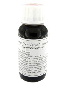 LVS 42S Fucus Vesic.Comp.60ml LVS 42S Fucus Vesic.Comp.60ml