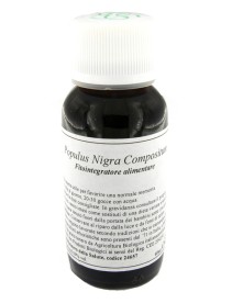 LVS 43N Populus Nigra Comp. LVS 43N Populus Nigra Comp.