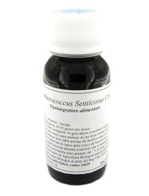 LVS 45C ELEUTHEROCOCCUS SENTICOSUS COMPOSITUM LVS 45C ELEUTHEROCOCCUS SENTICOSUS COMPOSITUM