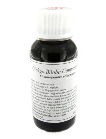 LVS 62S Ginkgo Biloba Comp.