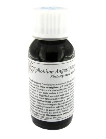 82C EPILOBIUM ANGUSTIF COM LVS