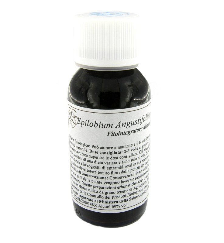 82C EPILOBIUM ANGUSTIF COM LVS