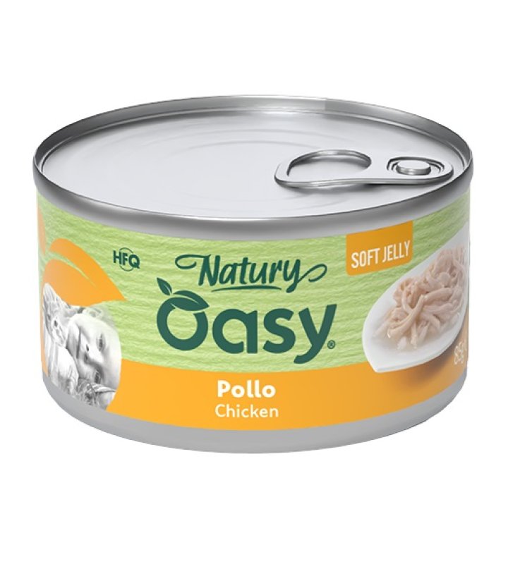 V OY CAT NATURY POLLO 85G