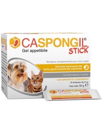 CASPONGIL STICK 20Stick Pack