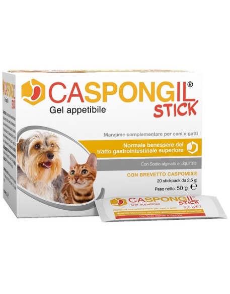 CASPONGIL STICK 20Stick Pack CASPONGIL STICK 20Stick Pack