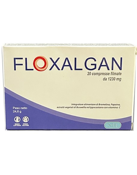 FLOXALGAN 20 Cpr 1230mg FLOXALGAN 20 Cpr 1230mg