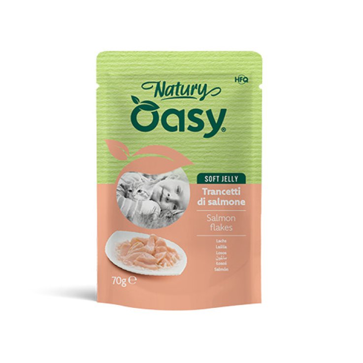 V OASY WET CAT NAT S JE SALM 70G V OASY WET CAT NAT S JE SALM 70G