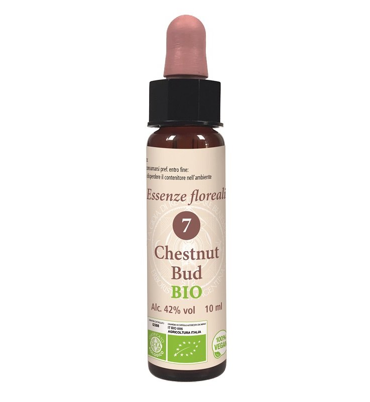 BACH 07 CHESTNUT BUD BIO 10 ML BACH 07 CHESTNUT BUD BIO 10 ML